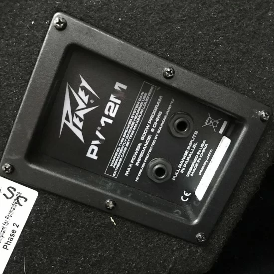 Peavey pv 12m hot sale 12 floor monitor